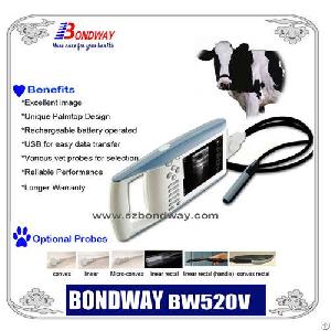 animal diagnostic imaging systems bw520v palmtop ultrsound