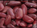 China Dark Red Kidney Beans