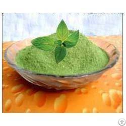 Natural Mint Powder