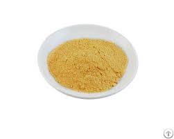 Natural Papaya Powder