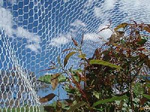 purchasing guangzhou wire mesh wholesale foshan shipping