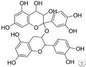 Bilberry Extract