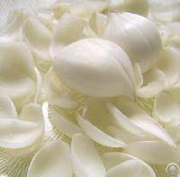 lily bulb extract baihe bulbus lilii 10 1