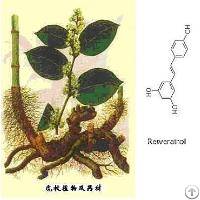 Valerian Root Extract