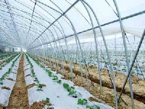 poly greenhouse film