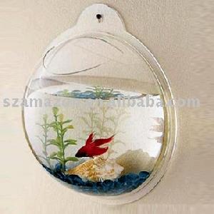 Acrylic Wall Aquarium