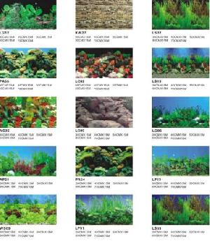 Aquarium Background