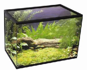 Aquarium Tank