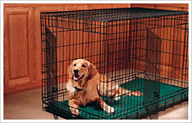 Welded Dog Cage