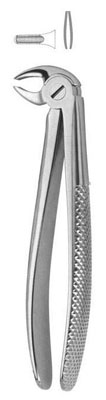 Tooth Extracting Forceps. Made By Both Imported As Well As Local Material.