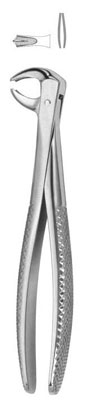 tooth extracting forceps up imported stainless steel