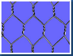 hexagonal wire netting