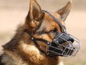 dog muzzle