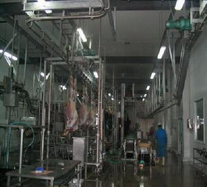 Slaughterhouse Equipment Line In China