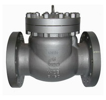 317l Stainless Steel Life Check Valve