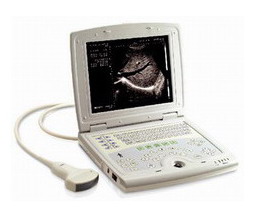 Veterinary Notebook / Laptop Ultrasound Scanner Rd8b Made In China