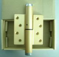 auto door closing hinges