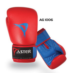 Aster Boxing Gloves French Style