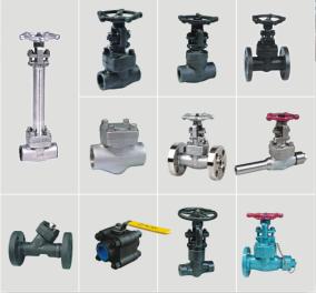 forgeg steel valves