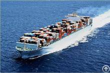 Neptune Logistics-the Leading International Freight Forwarder Of China, If You Need A Reliable One