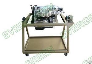 Gasoline Engine With Disassembly And Assemble Backstop