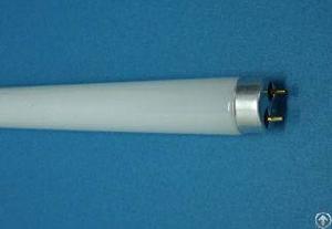 24inch-f18t8 / Cw-18w Moyen Tube Fluorescent Bi-pin Base Cool White