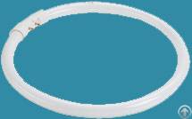 Fc22w-t5-830warm Blanco 2gx13 G10q Circular De Luz