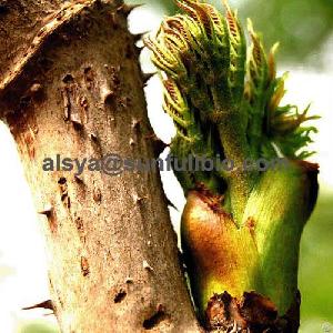 aralia elata extract