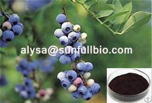 Bilberry Extract 25%