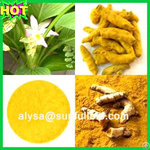 Curcumin Turmeric Extract