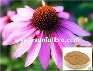 echinacea extract polyphenol chicoric acid