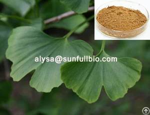 Ginkgo Biloba Extract 24% / 6%