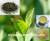 green tea extract egcg catechins polyphenols