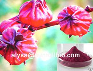 Hibiscus Flower Extract