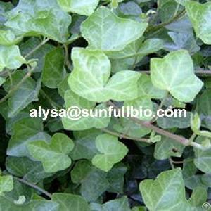 ivy extract hederagenin
