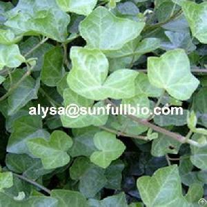 Ivy Extract Hederagenin