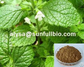 Lemon Balm Extract