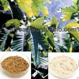 Magnolia Bark Extract Magnolol , Hinokiol