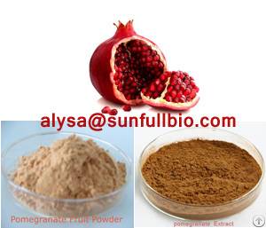 Pomegranate Extract Polyphenols, Ellagic Acid