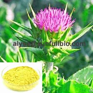 Silymarin Milk Thistle Extract