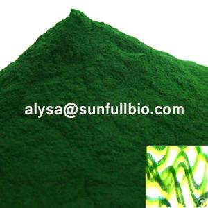 spirulina powder