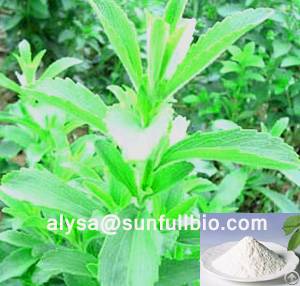 stevia extract steviosides rebaudioside