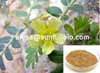 tribulus terrestris extract