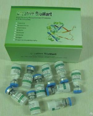 Goat Anti-human A2m Polyclonal Antibody