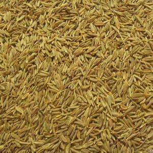 Caraway Seeds