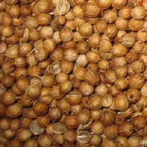 Coriander Seeds