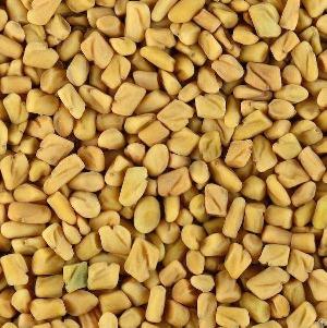 Fenugreek Seeds