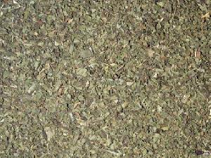 peppermint crushed leaves