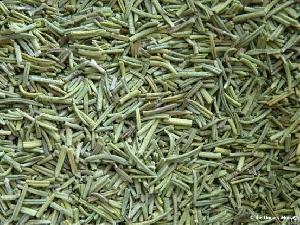 rosemary crushed leaves