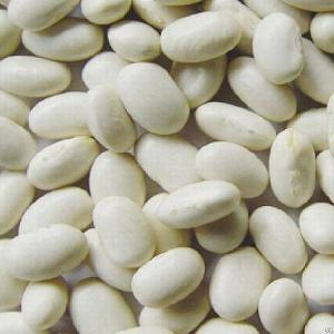 White Kidney Beans